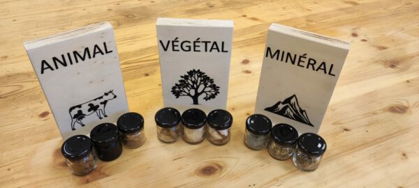 Jeux éducatif Vie D'objets – Image 2